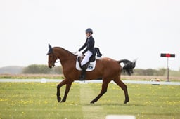 B15_0153 2026