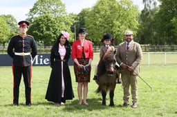 E31_3077 2026