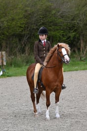 54 Novice Ridden M&M Small Breeds