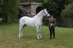L29_9179 2026
