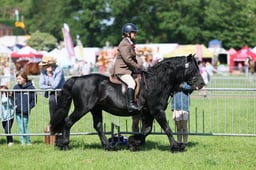 C33_0942 2026