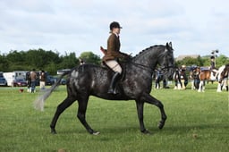 E36_0473 2026