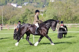 C19_0417 2026