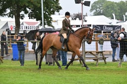 Riding Horse Championship