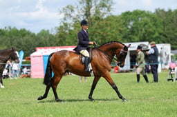 H36_8571 2026