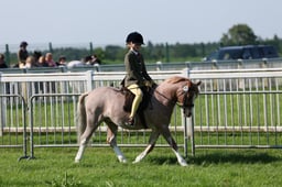 C33_0473 2026
