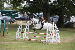 355 Lookout Silver Oisin