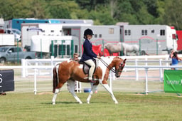 Z68_0943 2026