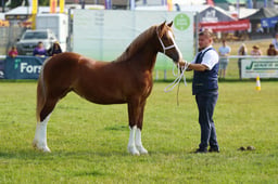 E69_0722 2026