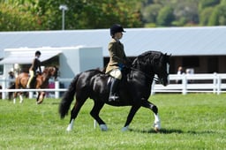 H19_0522 2026