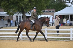 A66_1869 2026