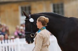A22_6575 2026