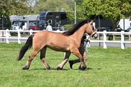 S19_8164 2026