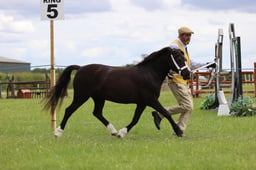 J36_7118 2026