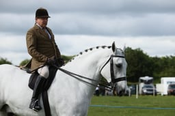 03 HOYS Heavyweight Hunter