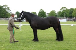 W29_0934 2026