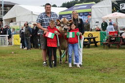 Supreme Champion Dairy Cow