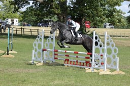 335 ROMANY KING II