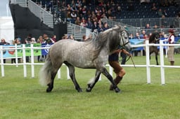 M44_0765 2026