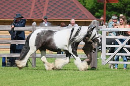 S28_9348 2026