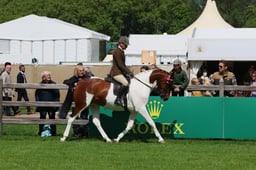 S28_7630 2026