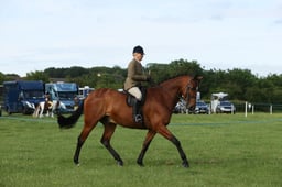 E36_0051 2026