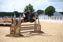 07B 153cm Working Hunter Pony