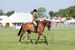 C34_0805 2026