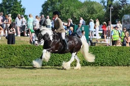 S61_0534 2026