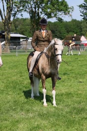 C33_2320 2026