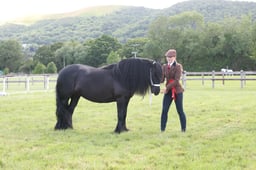M41_1395 2026