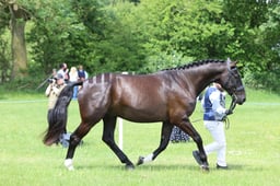 J36_6829 2026