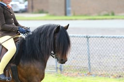 102I M&M Ridden Dartmoor