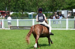 F33_0790 2026