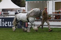 W29_0827 2026