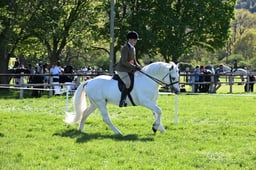 S19_8594 2026