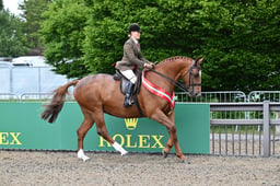A28_2770 2026