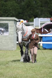 M41_0783 2026