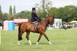 E36_2281 2026