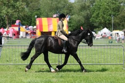 C33_1588 2026