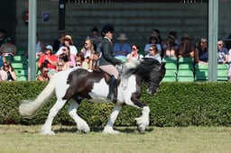 S61_0720 2026