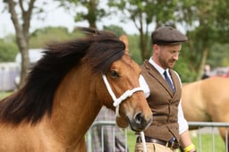 109 Large Breeds Youngstock