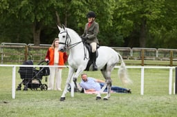 E30_4097 2026
