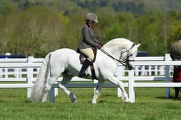 H19_0056 2026