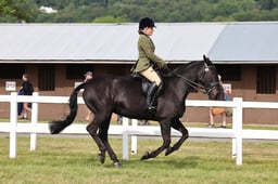 Z43_5099 2026