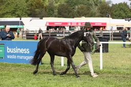 E31_0505 2026