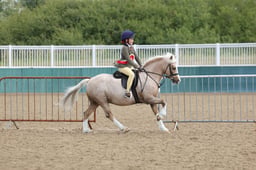 M58_2668 2026