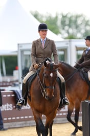 Ridden Hunter Lightweights