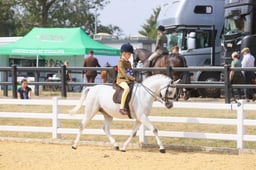 106E Show Hunter Pony Championship