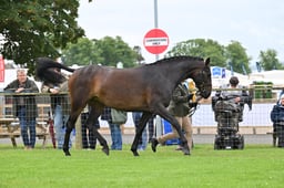 A44_0310 2026